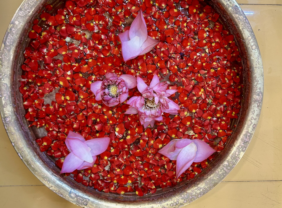 Photo 18-05-24, 6 40 08 PM